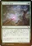 FOILۥޥå㥶 MKM JP 0178 ä˹Ԥä (ܸ ) šͻ (MTG)