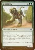 FOILۥޥå㥶 MKM JP 0179 ɿ (ܸ ) šͻ (MTG)