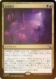 FOILۥޥå㥶 MKM JP 0189 캯 (ܸ 쥢) šͻ (MTG)