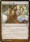 FOILۥޥå㥶 MKM JP 0258 ȥᥬλ (ܸ 󥳥) šͻ (MTG)