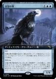 ڳĥǡۥޥå㥶 MKM JP 0393 ˾Ȼ (ܸ 쥢) šͻ