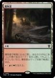 ޥå㥶 MKC JP 0264 ʪƻ (ܸ 쥢) šͻ Ψ (MTG)