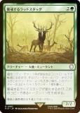FOILۥޥå㥶 PIP JP 0087 ٲåɥå (ܸ 쥢) Fallout (MTG)