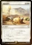 FOILۥޥå㥶 PIP JP 0156 Ǥ̿ (ܸ 쥢) Fallout (MTG)