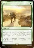 FOILۥޥå㥶 PIP JP 0197 ڤ (ܸ ) Fallout (MTG)
