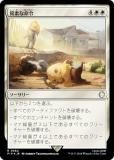 ڥFOILۥޥå㥶 PIP JP 0684 Ǥ̿ (ܸ 쥢) Fallout (MTG)