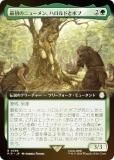 FOIL/ĥǡۥޥå㥶 PIP JP 0398 ǽΥ˥塼󡢥ϥɤȥܥ (ܸ 쥢) Fallout (MTG)