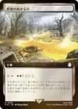 FOIL/ĥǡۥޥå㥶 PIP JP 0438 ϤΤ̤ (ܸ 쥢) Fallout (MTG)