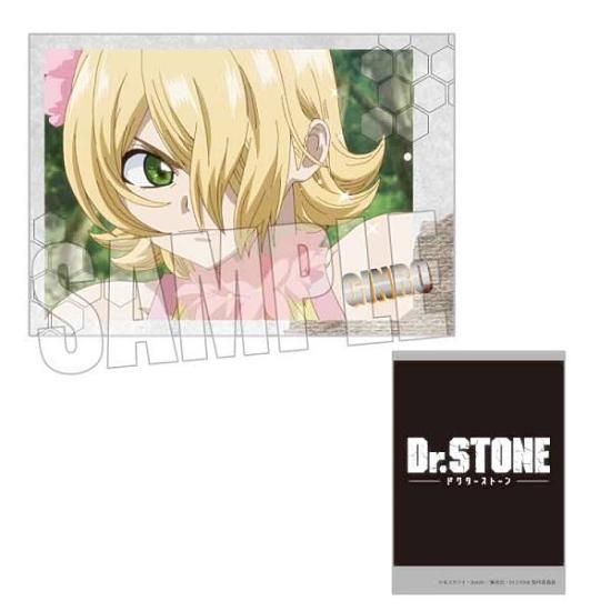 銀狼】 コレクションカード Dr.STONE - トレカ&ホビーの通販なら