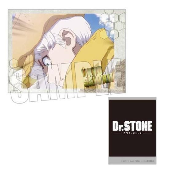 西園寺羽京B】 コレクションカード Dr.STONE - トレカ&ホビーの