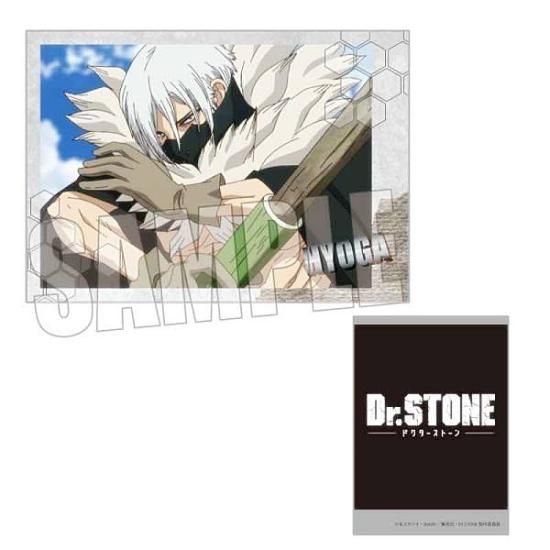 Dr.STONE 石化前 トレーディングカードステッカー 氷月 2点セット Dr.STONE 石化前 トレーディングカードステッカー 氷月 2点