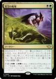 ޥå㥶 OTJ JP 0224 ť¤άå (ܸ 쥢) 󥯥̵ˡ (MTG)