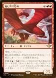 FOILۥޥå㥶 OTJ JP 0147 ɤؤζ (ܸ 쥢) 󥯥̵ˡ (MTG)
