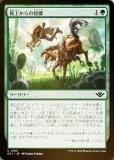 FOILۥޥå㥶 OTJ JP 0185 Ⱦ夫ڳ (ܸ ) 󥯥̵ˡ (MTG)