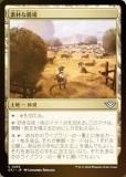 FOILۥޥå㥶 OTJ JP 0265 Ѥ (ܸ 󥳥) 󥯥̵ˡ (MTG)