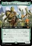 ڳĥǡۥޥå㥶 OTJ JP 0338 ŤԡΥӥ (ܸ å쥢) 󥯥̵ˡ (MTG)
