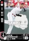 ڥѥۥɥ꡼४ CBP01-C06 Ƹ Υ (RH 쥢ۥ) ꡼ ֡ѥå 2024 Vol.1