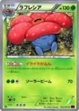 ڥץ쥤ѡۥݥ󥫡ɥ XY7-B 003/081 ե쥷(󥳥) š
