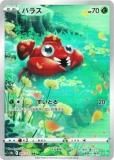 ڥץ쥤ѡ ݥ󥫡ɥ S12a 207/172 ѥ饹  (AR ȥ쥢) ϥ饹ѥå VSTAR˥С š