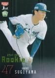 ڥ饤ȥ꡼ 16/50BBM ١ܡ륫 293 (ROOKIE) 饤 (쥮顼) 2024 1stС
