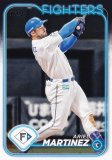 NPB ١ܡ륫 72 ޥƥͥ ̳ƻܥϥե (١) 2024 TOPPS