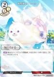 ڥѥۥӥǥХTCG C-B14-30N  ե (N Ρޥ) ֡ѥå裱 ١ʥޤ