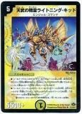 ڥץ쥤ѡۥǥ奨ޥ DM28 41h/110 ŷ饤ȥ˥󥰡å(󥳥(Heroes Card))š