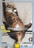 ڥץ쥤ѡۥǥ奨ޥ DMEX08 246/??? GRǭ ˥˥ Υ֥åܥåѥå (DMEX-08)š