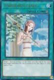 ͷ RA02-EN058 ؤ줿 (Ѹ 1st Edition ƥåȥ쥢)