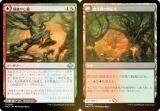 FOILۥޥå㥶 MH3 JP 0259 䤷 / ǳγ (ܸ 󥳥) ۥ饤3 (MTG)