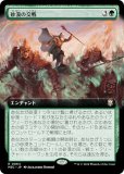 ڳĥǡۥޥå㥶 M3C JP 0064 θ (ܸ 쥢) ۥ饤3 Ψ (MTG)