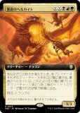 ڳĥǡۥޥå㥶 M3C JP 0073 ˽Υإ륫 (ܸ 쥢) ۥ饤3 Ψ (MTG)