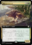 ڳĥǡۥޥå㥶 M3C JP 0074 ̢ȥʥ (ܸ 쥢) ۥ饤3 Ψ (MTG)