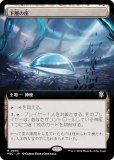 ڳĥǡۥޥå㥶 M3C JP 0083 ؤκ (ܸ 쥢) ۥ饤3 Ψ (MTG)