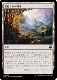 ޥå㥶 M3C JP 0340 ʲ̤ (ܸ ) ۥ饤3 Ψ (MTG)