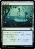 ޥå㥶 M3C JP 0396 񿹤 (ܸ ) ۥ饤3 Ψ (MTG)
