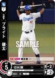 ڥѥۥɥ꡼४ CBP02-D10 ֥饤ȡ ɥ饴 (CH ۥ) ꡼ ֡ѥå 2024 Vol.2