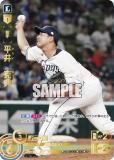 ڥڥѥۥɥ꡼४ PBP02-L04 ʿ桡ŵ 饤 (SP ڥ)  ѡ꡼ ֡ѥå 2024 Vol.2
