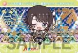 [ڶ⿧ܥץꥺιڻ] Х (ѥ륫)ۥۥ饤 ɥ hololive Vol.4