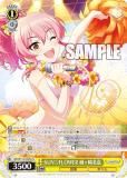  IMC/W115-025Pa SUN(ϡ)FLOWER  (Pa ѥå󥹥ڥ) ֡ѥå ǥޥ Next Twinkle!