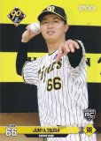 NPB ץ奫 028 Ľߺ(ROOKIE)  (쥮顼) ݥå 2024