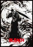 D  (ꥢݥ A3)  ֤ BLEACH ǯ OP.2 š