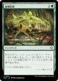 ޥå㥶 BLB JP 0185 ɱ (ܸ 󥳥) ֥롼Х (MTG)