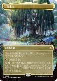 ڥܡ쥹ǡۥޥå㥶 BLB JP 0338 ڻ (ܸ 쥢) ֥롼Х (MTG)