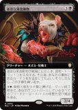 ڳĥǡۥޥå㥶 BLC JP 0053 ߤʲ̿ưʪ (ܸ 쥢) ֥롼Х Ψ (MTG)