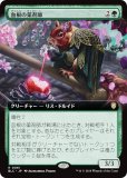 ڳĥǡۥޥå㥶 BLC JP 0061 캬޻ (ܸ 쥢) ֥롼Х Ψ (MTG)