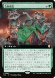 ڳĥǡۥޥå㥶 BLC JP 0063 Ʊ¤ (ܸ 쥢) ֥롼Х Ψ (MTG)