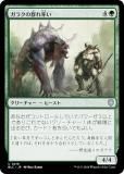 ޥå㥶 BLC JP 0218 饯ηΨ (ܸ 󥳥) ֥롼Х Ψ (MTG)