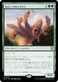 ޥå㥶 BLC JP 0226 ˥Υϥɥ (ܸ å쥢) ֥롼Х Ψ (MTG)