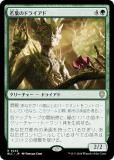 ޥå㥶 BLC JP 0242 դΥɥ饤 (ܸ 쥢) ֥롼Х Ψ (MTG)